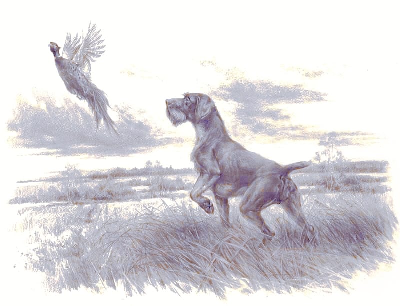 prehľad skúšok PUP v roku 2025